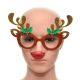 Novelty Reindeer Glasses Frame