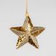 Gold Sequin Star