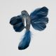 Blue Glitter Hummingbird